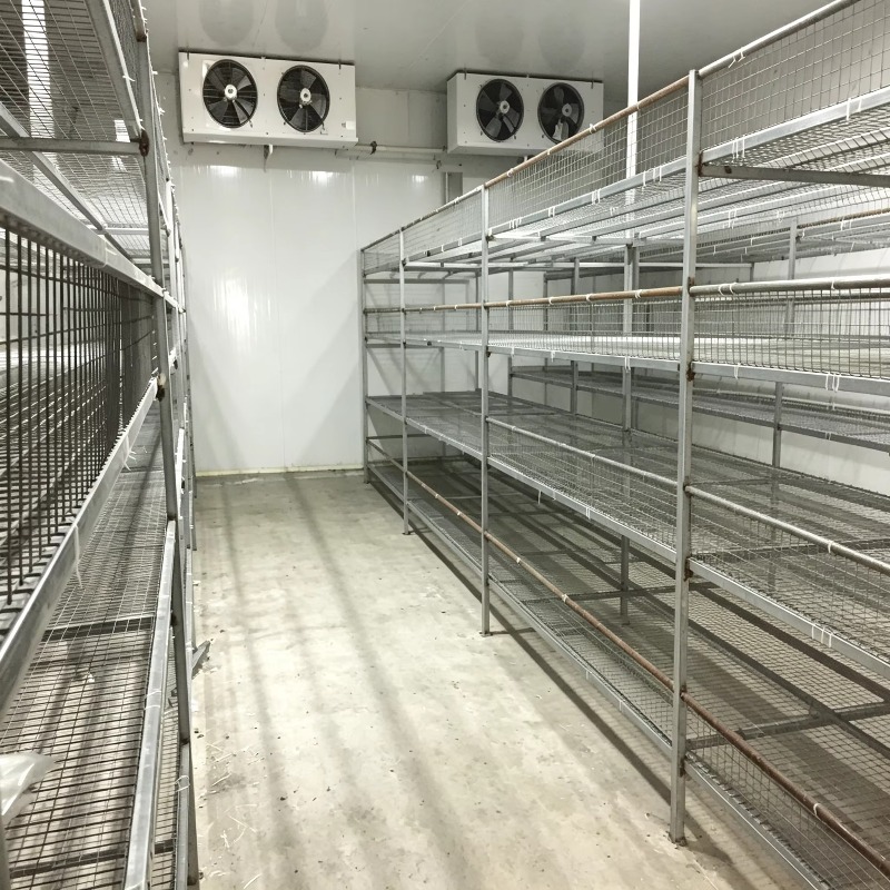 Hydroponic Container Farm with - đánh giá và giá Urban Farming Projects